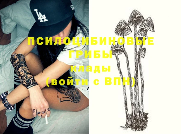 эйфоретик Алексин