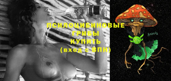 молекула духа Няндома